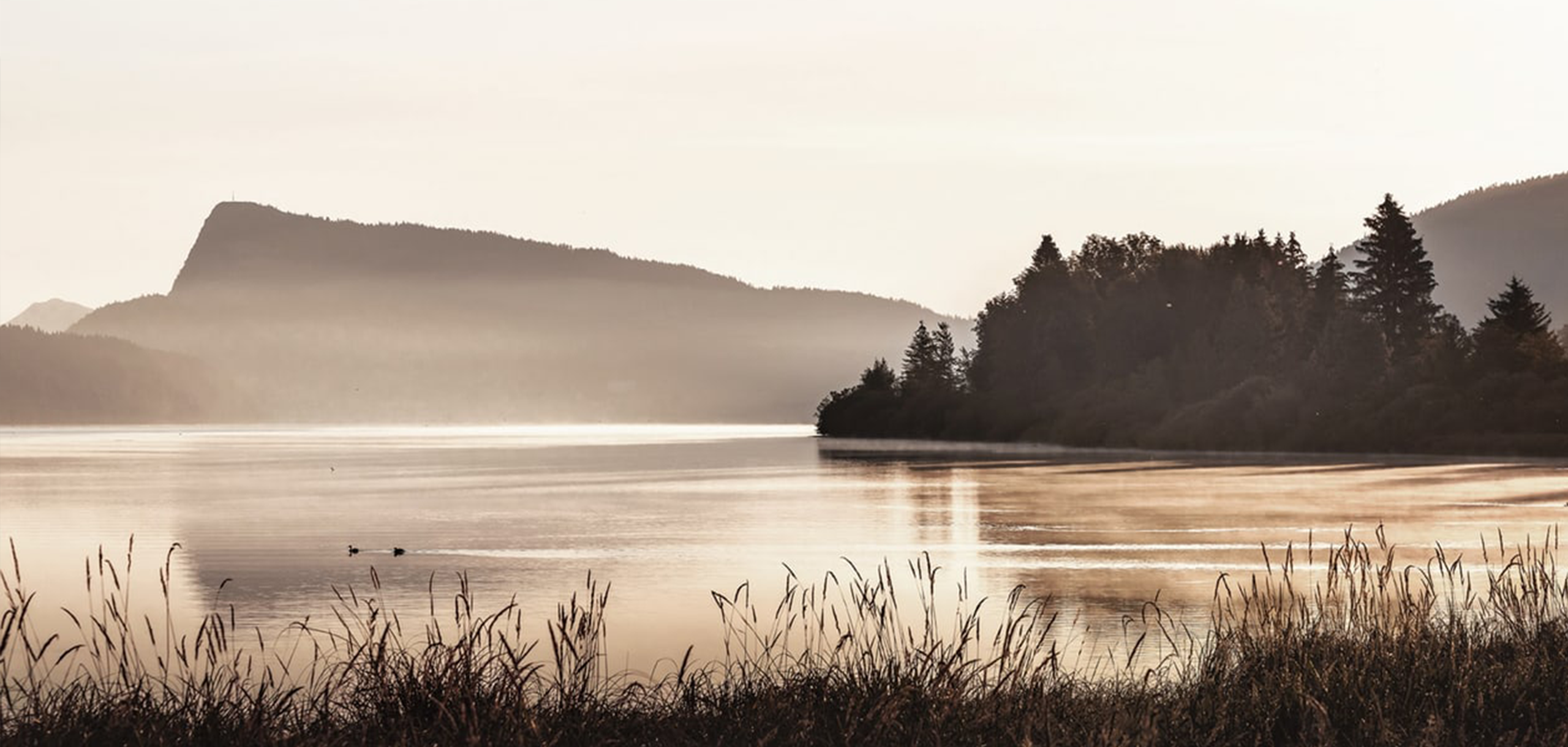 Fondation Antoine LeCoultre - Manufacture Jaeger-LeCoultre