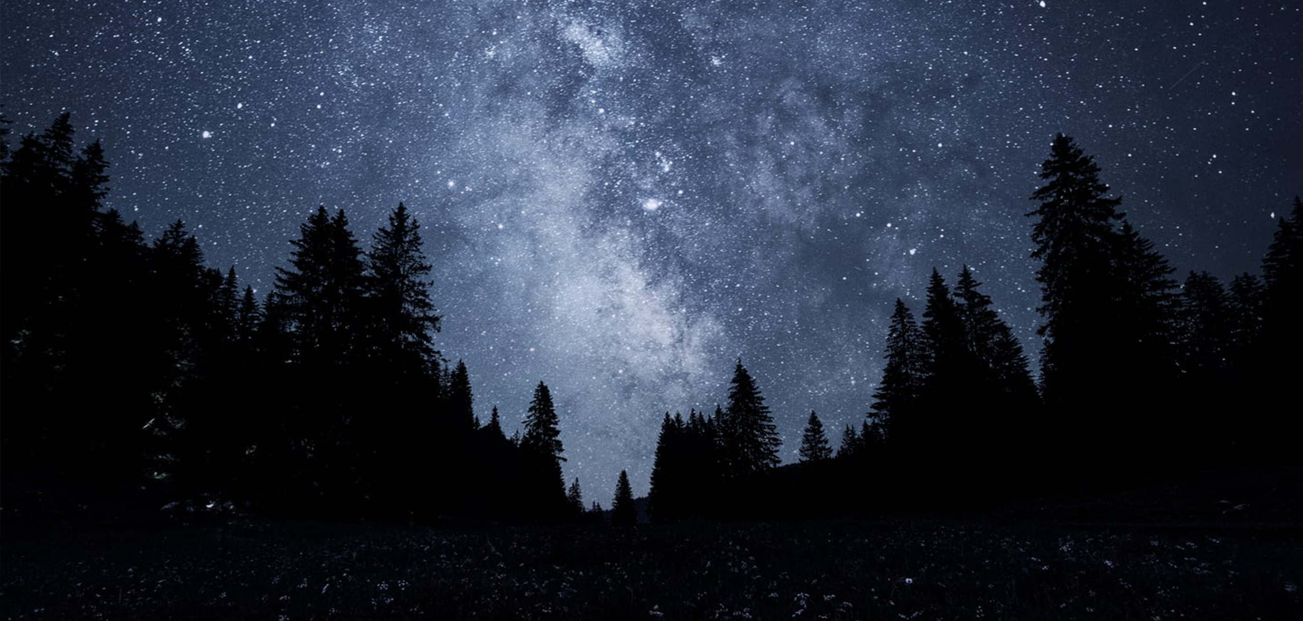 Fondation Antoine LeCoultre - Manufacture Jaeger-LeCoultre